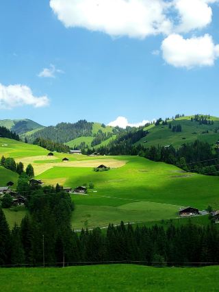 11-Day In-Depth Tour of Multiple European Countries: A Romantic Journey