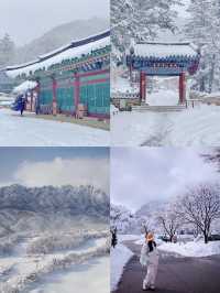 平昌郡：自然與人文共舞的韓式綺夢