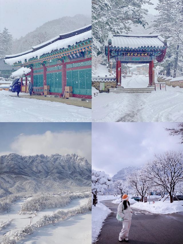 平昌郡：自然與人文共舞的韓式綺夢
