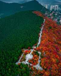 濟南蝎子山