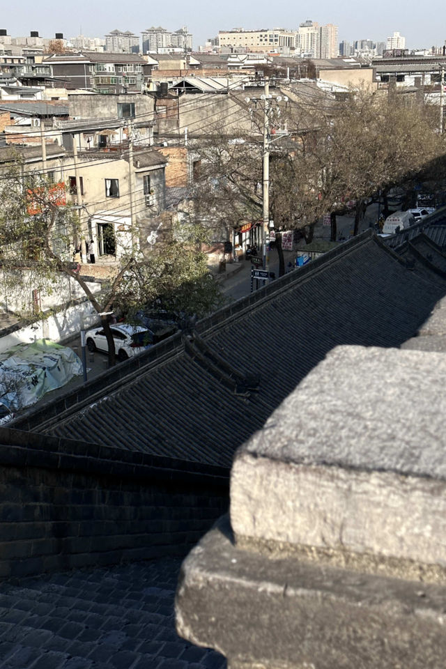 歸途的喜悅，從聞到城市氣息那一刻開始