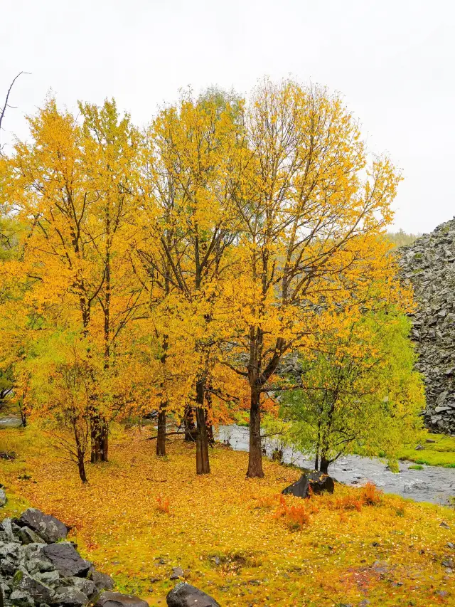 15-Day Itinerary from Shenyang to Ulanhot