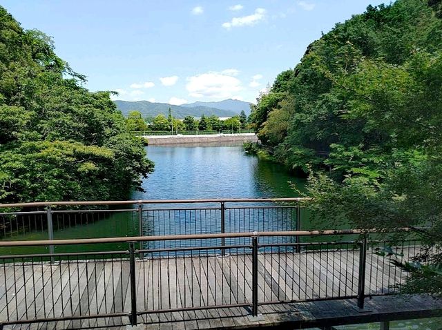 日浦池公園