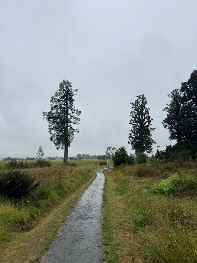 大自然的雨後韻味：徒步馬松森湖