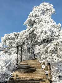 九華山真的迎來了2025年的第一場雪了。
📢📢號外號外，九華山是真的下雪❄️啦