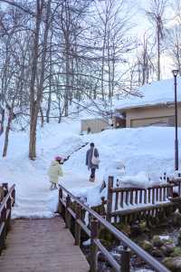 誤入童話世界北海道羊蹄山下的名水公園