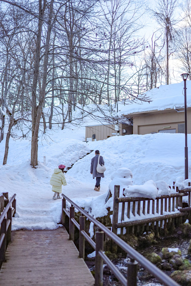 誤入童話世界北海道羊蹄山下的名水公園