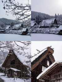 富山，藏在日本的小眾寶藏旅行地