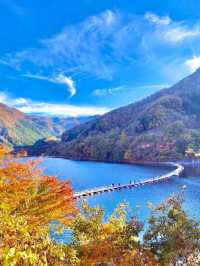 麦山浮橋