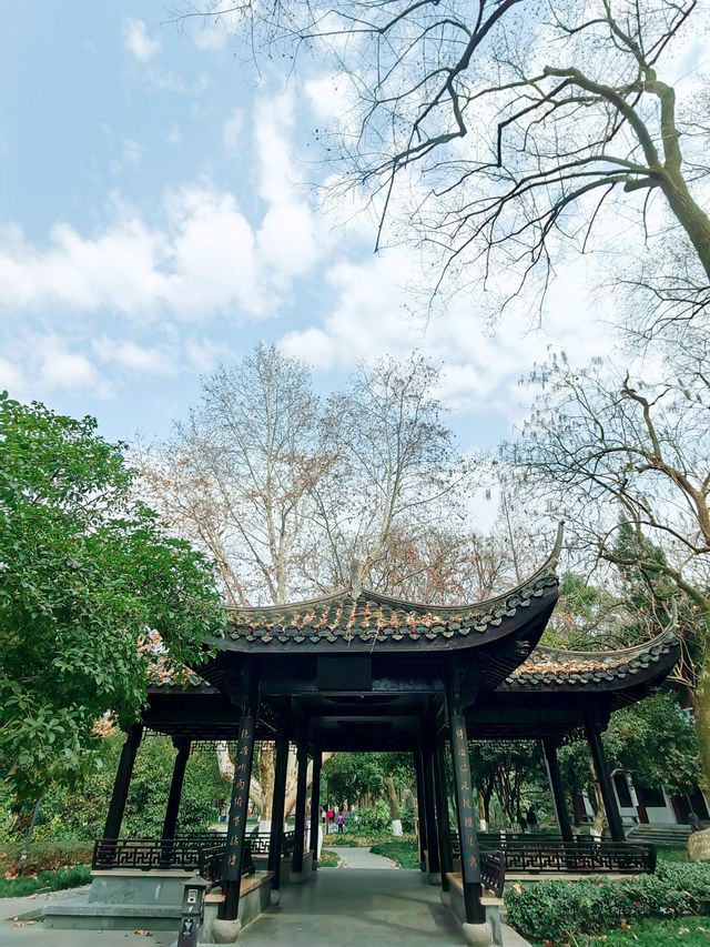 衢州孔子文化公園，古城之源，文化聖地