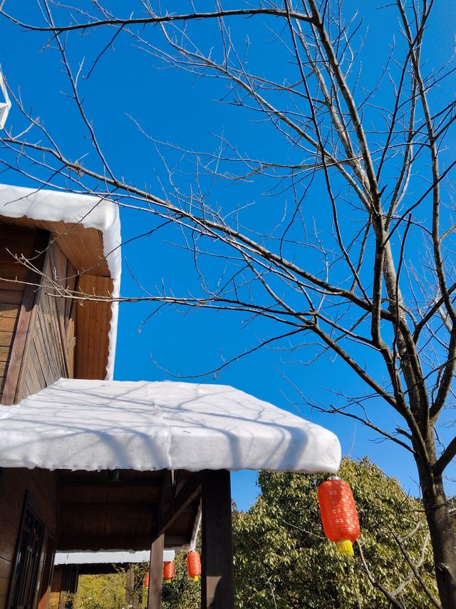【泉州德化】九仙山冰雪樂園，玩雪不凍