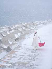 大連｜海邊雪景美翻了！附攻略！