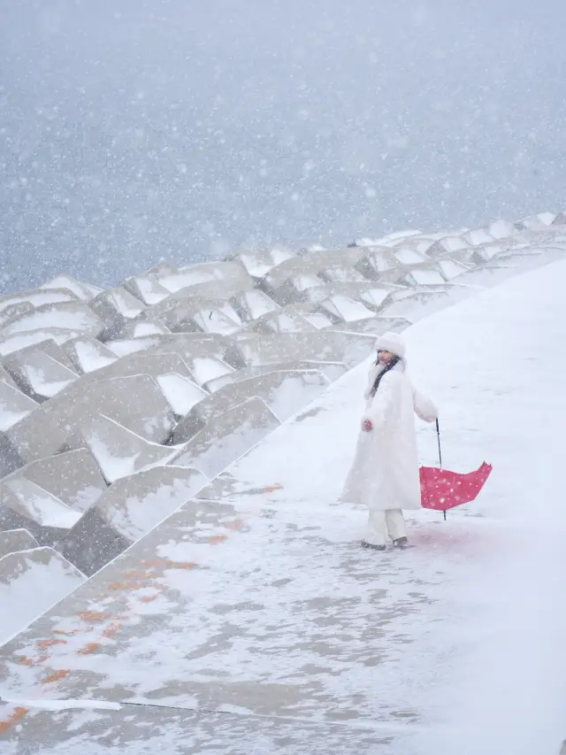 Dalian | Stunning Snowy Seaside Views! Guide Included!
