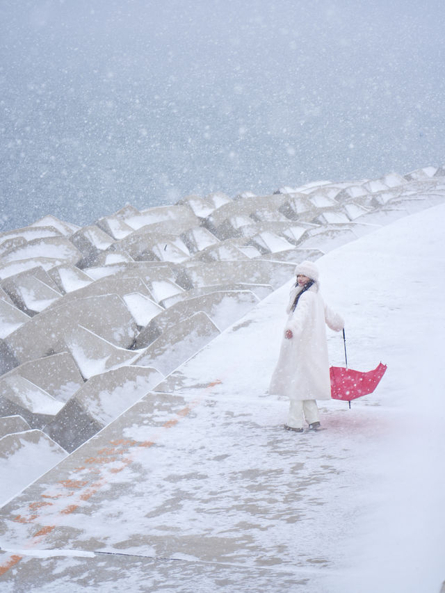 大連｜海邊雪景美翻了！附攻略！