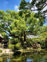 過年去日本玩6天 超全攻略來襲