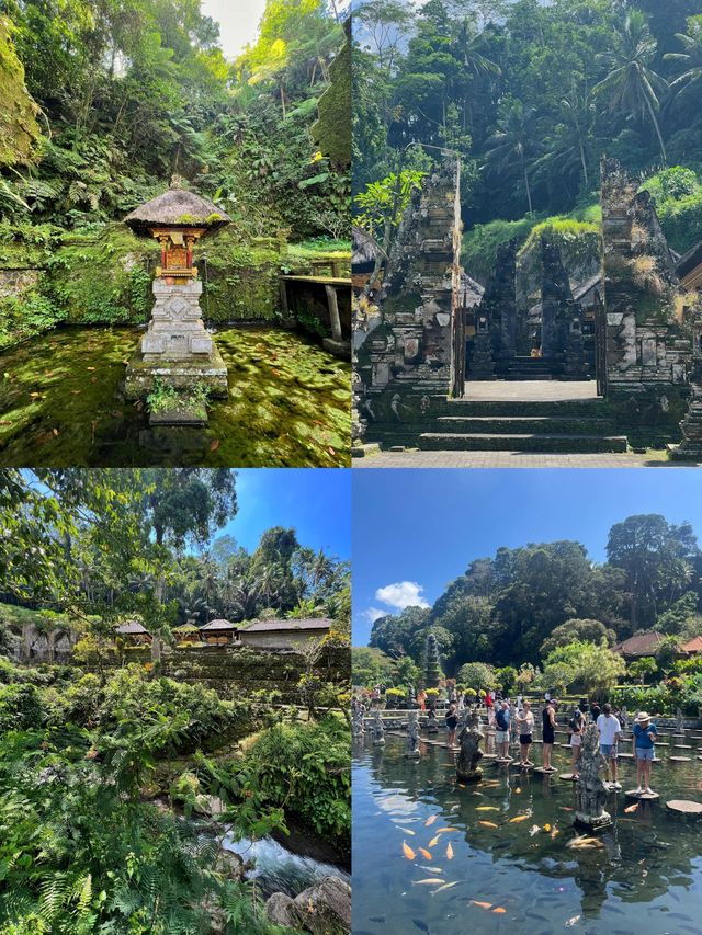 印尼松巴島：遺世海隅的夢幻桃源