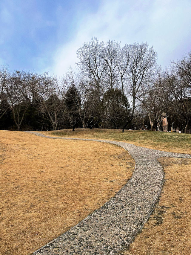 北京citywalk｜清華大學半日遊全攻略