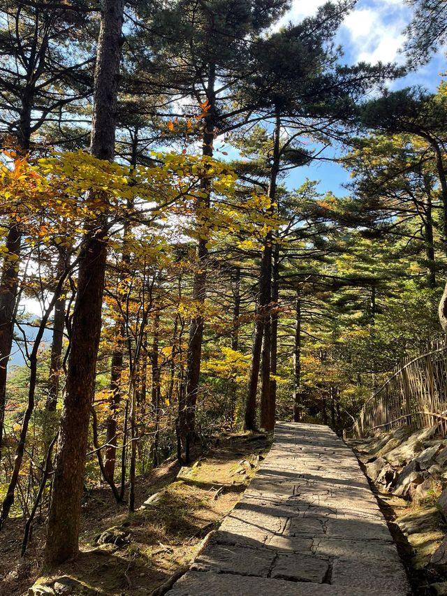 黃山3日遊 老友出行必備攻略