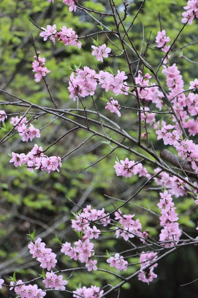東湖山公園！德陽人的後花園