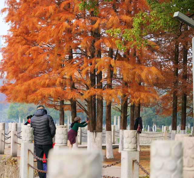 誰懂這是12月的烈士公園