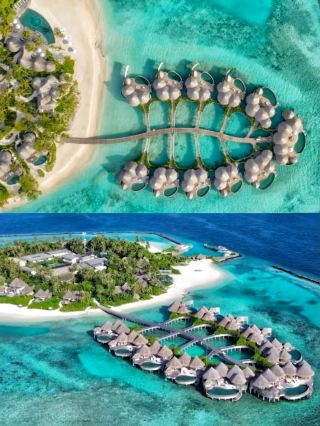 Uncover the unique charm of the Maldives Nautilus
