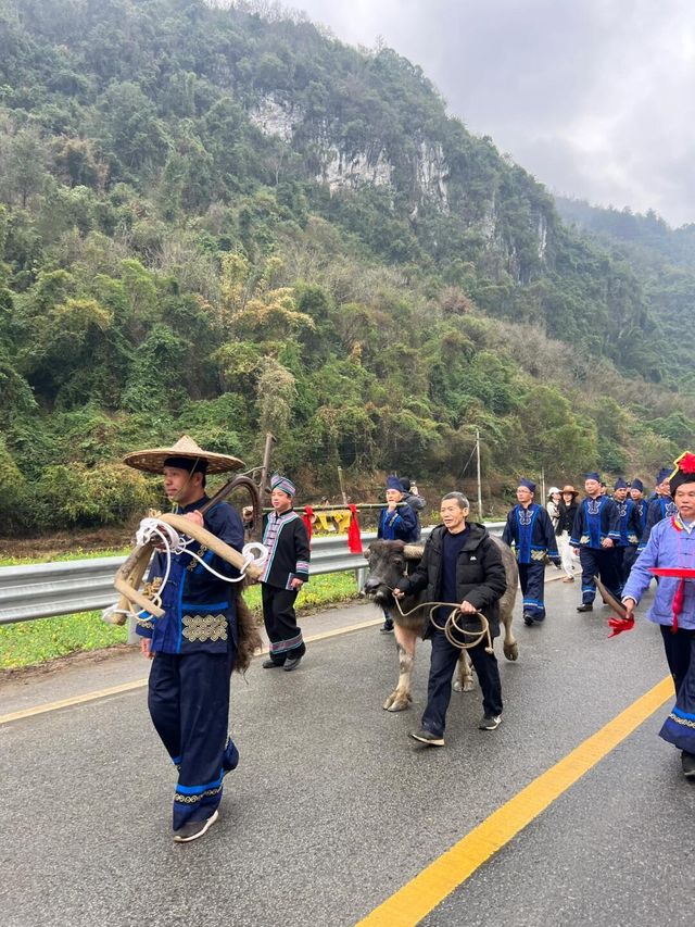 讓世界看到廣西河池壯族螞拐節！！附攻略