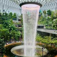 在新加坡，掉進巨型空中花園