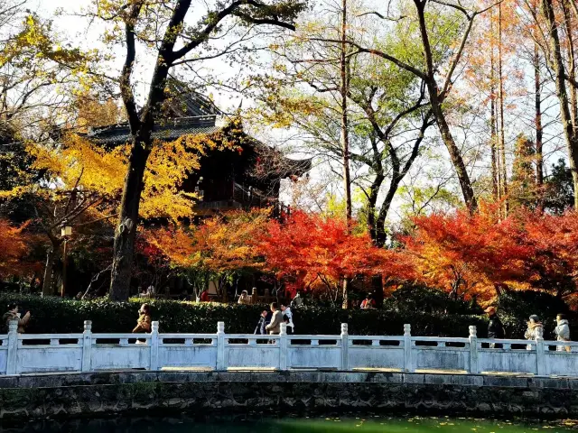 Picking up memories, the past of maple leaves covering the mountains.