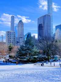 雪後的中央公園太美啦——附公園遊玩最佳路線