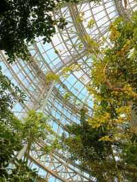 鄭州的春和景明從植物園的溫室開始