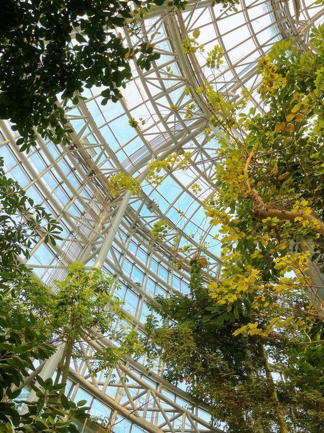鄭州的春和景明從植物園的溫室開始