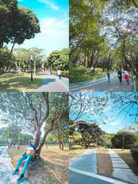 ZHONGSHAN PARK: 50 SHADES of GREEN ☘
