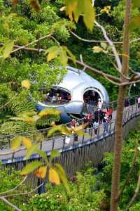 邂逅自然的奇妙之旅：雲蘿植物園全攻略