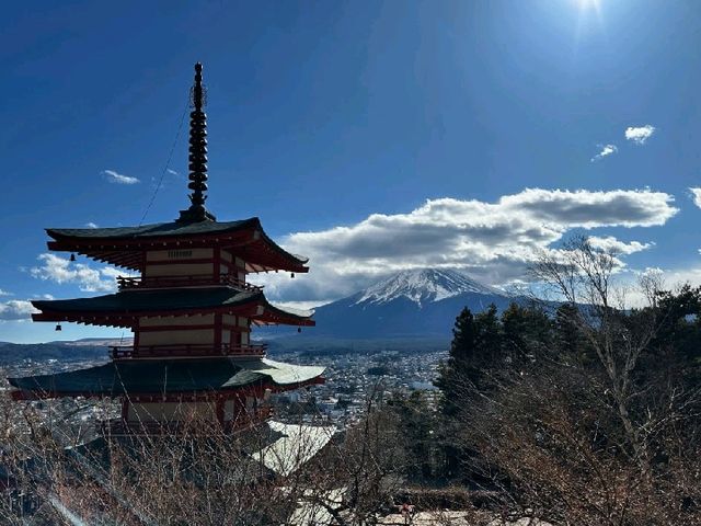 東京市中心到淺間公園淺間神社一日遊行程攻略