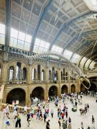 From Screen to the UK's Museum Amazing