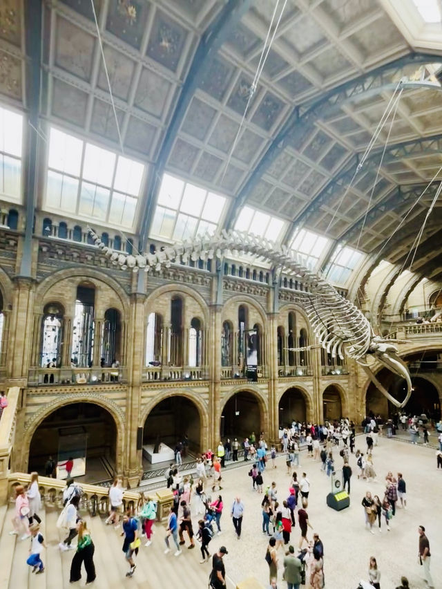 From Screen to the UK's Museum Amazing
