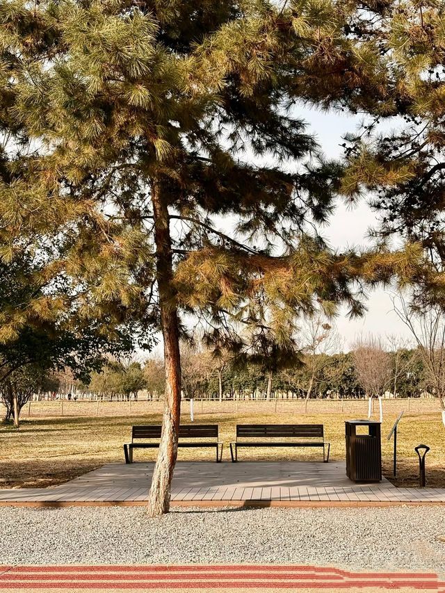 鍾意西安每個有陽光嘅日子 鍾意西安每個有陽光嘅日子
