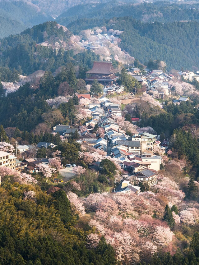 🌸在吉野山，赴一場千本櫻的浪漫之約