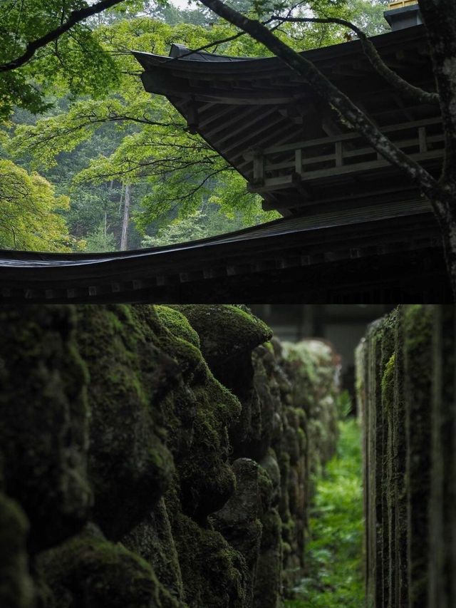 遍地表情包，這大概是京都最可愛的寺廟！