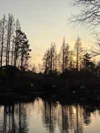 上海濱江森林公園
