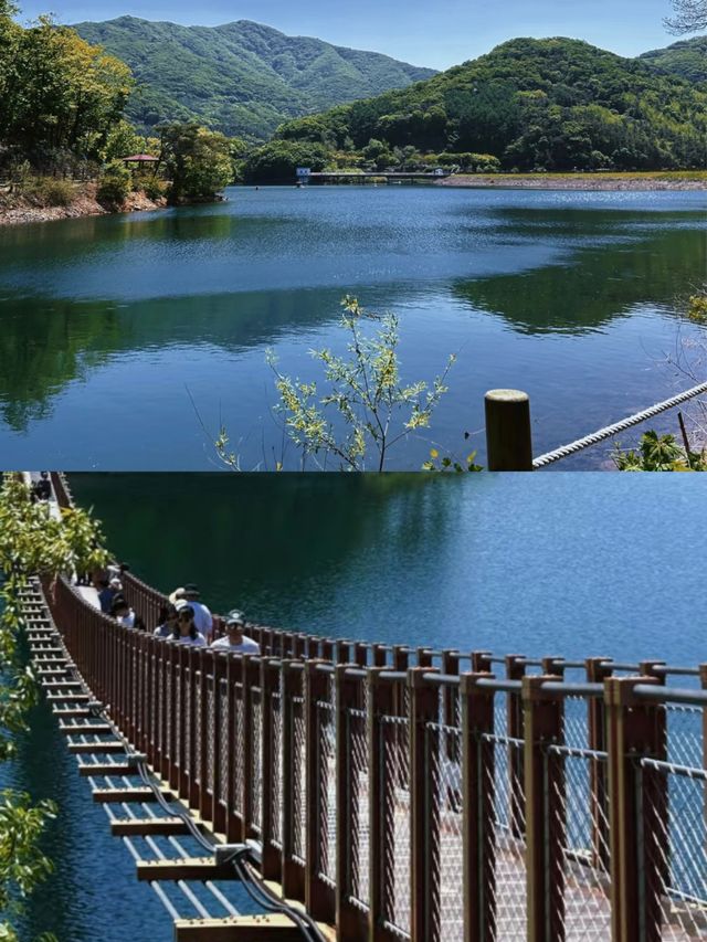 密陽雙日遊，解鎖小眾韓韻寶藏地