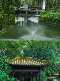 陰雨天的廣州蘭圃真的是人間理想！