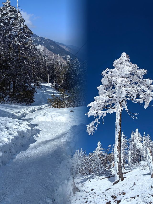 美麗的孔雀山