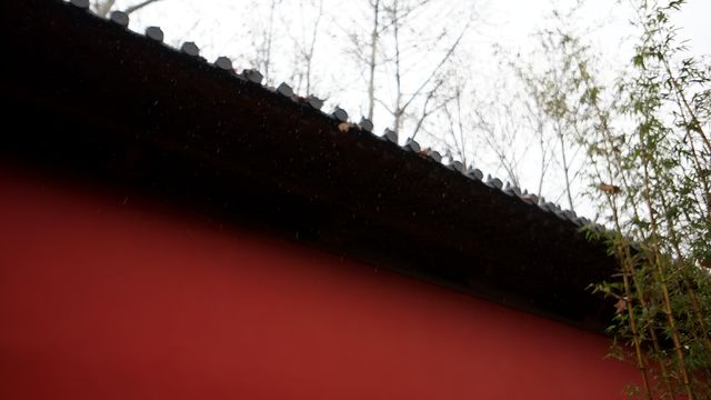 杭州德壽宮｜離開杭州前一定要去一次