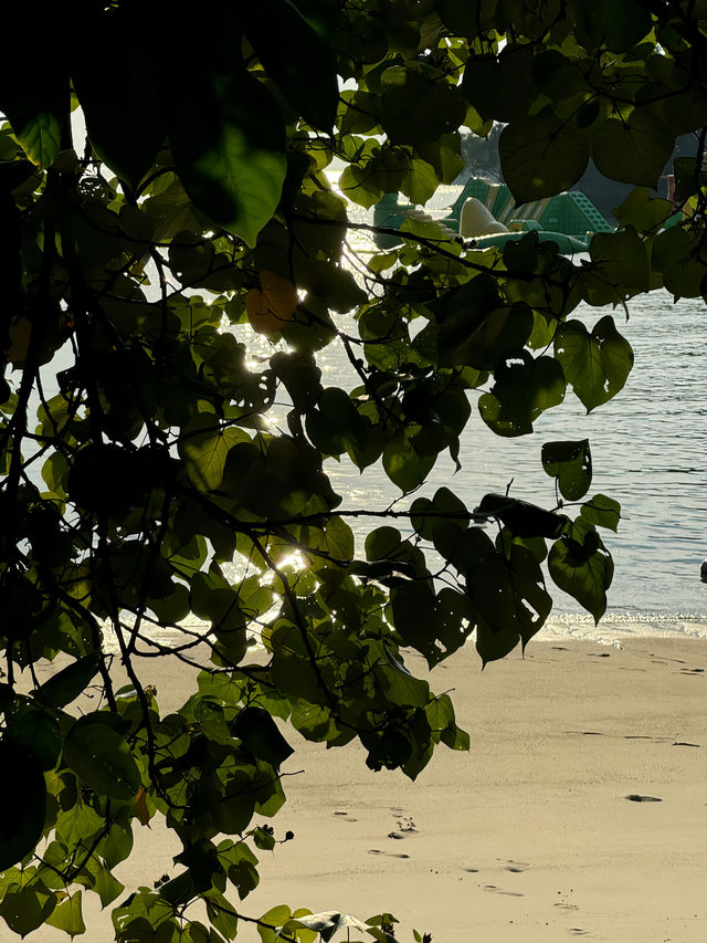Explore Sentosa Island in Singapore with Ease: A One-Day Itinerary