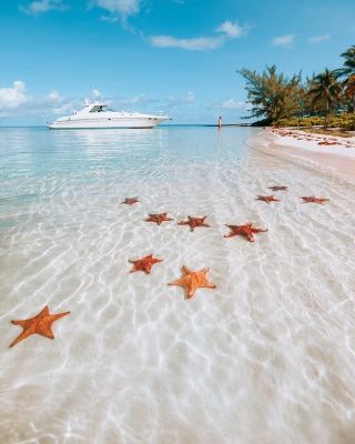 Cayman Islands · Grand Cayman | Seven Mile Beach, a Dreamy Caribbean Paradise