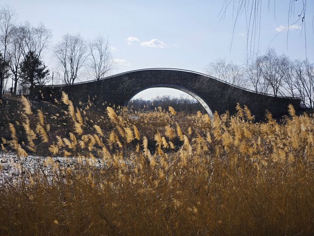 3月 北京溫榆河公園 攻略