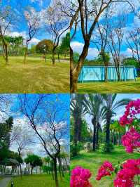 3月，一定要去一趟東湖公園！
