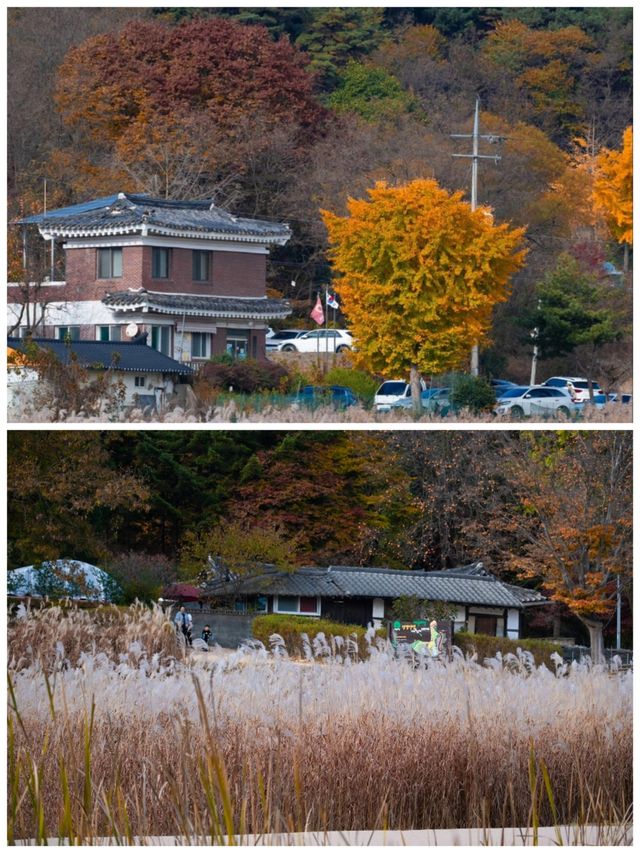 【寶藏小眾地】韓國清州，原來這麼好玩！