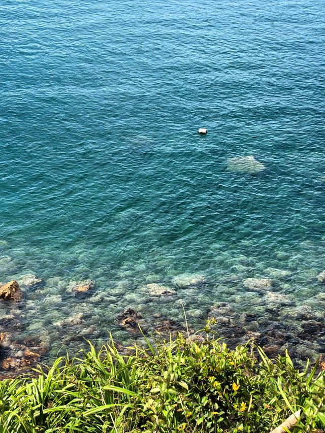 不愧是深圳海景天花板